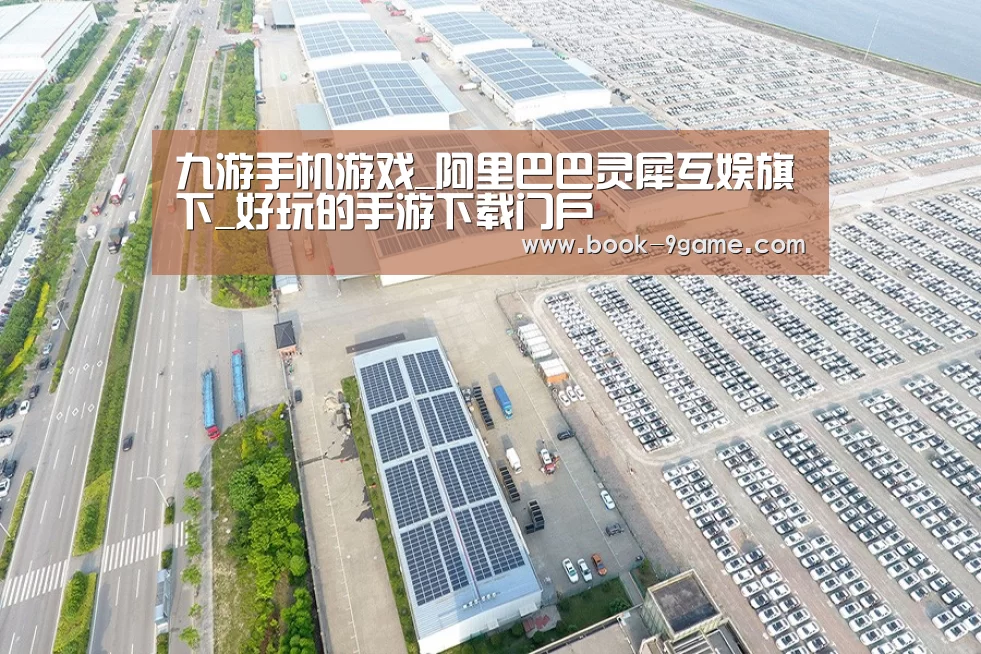 案例展示四