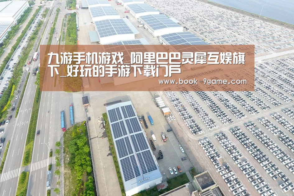 案例展示三